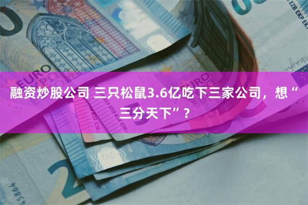 融资炒股公司 三只松鼠3.6亿吃下三家公司，想“三分天下”？