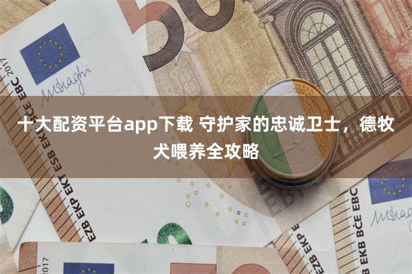 十大配资平台app下载 守护家的忠诚卫士，德牧犬喂养全攻略