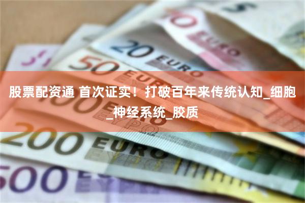 股票配资通 首次证实！打破百年来传统认知_细胞_神经系统_胶质